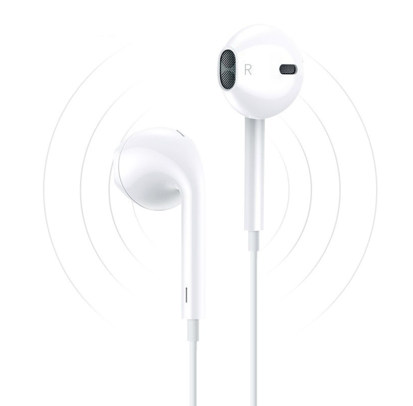 Wired In-Ear Earphones